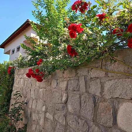 Pirin Private